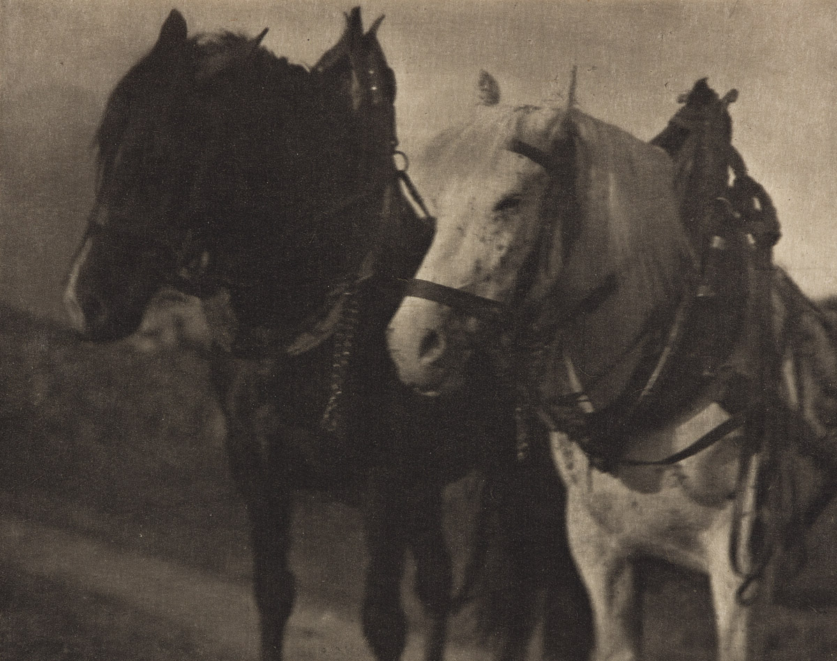ALFRED STIEGLITZ (1864-1946) A selection of 3 choice photogravures from Camera Work Number 12, including Miss S.R., Ploughing, and Hors